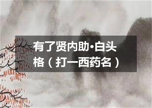 有了贤内助·白头格（打一西药名）