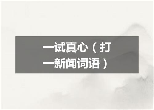 一试真心（打一新闻词语）