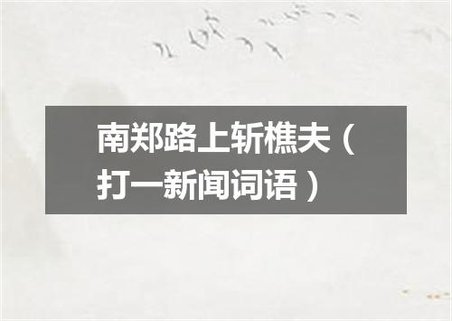 南郑路上斩樵夫（打一新闻词语）