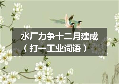 水厂力争十二月建成（打一工业词语）