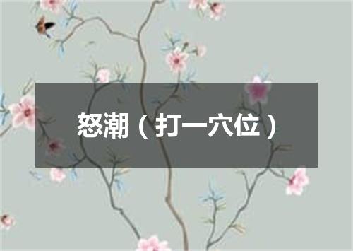 怒潮（打一穴位）