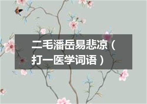 二毛潘岳易悲凉（打一医学词语）