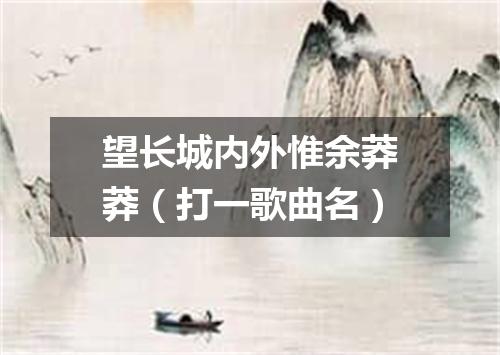 望长城内外惟余莽莽（打一歌曲名）