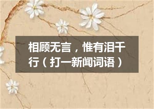 相顾无言，惟有泪千行（打一新闻词语）