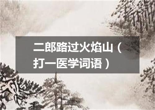 二郎路过火焰山（打一医学词语）