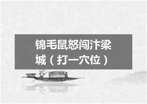 锦毛鼠怒闯汴梁城（打一穴位）