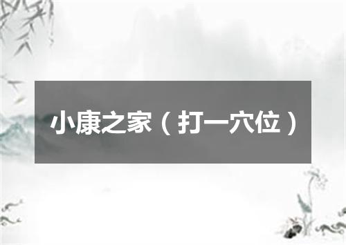 小康之家（打一穴位）