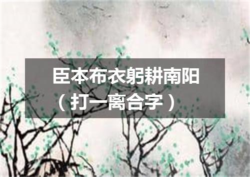 臣本布衣躬耕南阳（打一离合字）