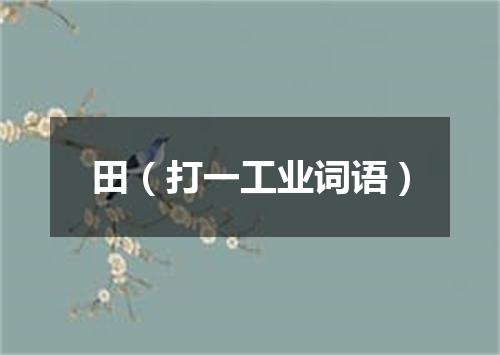 田（打一工业词语）