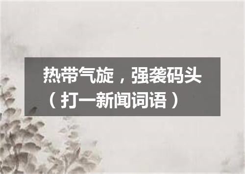 热带气旋，强袭码头（打一新闻词语）