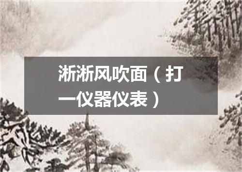 淅淅风吹面（打一仪器仪表）