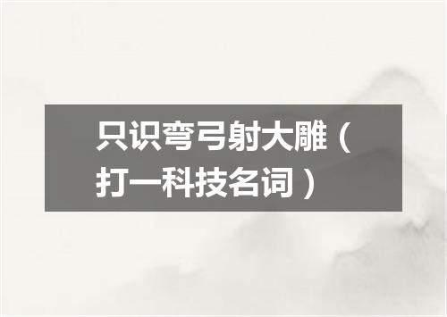 只识弯弓射大雕（打一科技名词）
