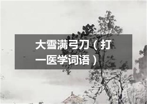 大雪满弓刀（打一医学词语）