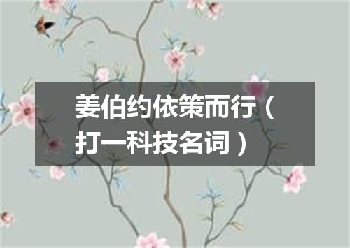 姜伯约依策而行（打一科技名词）