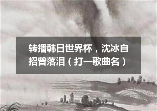 转播韩日世界杯，沈冰自招曾落泪（打一歌曲名）