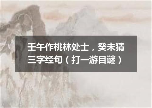 壬午作桃林处士，癸未猜三字经句（打一游目谜）