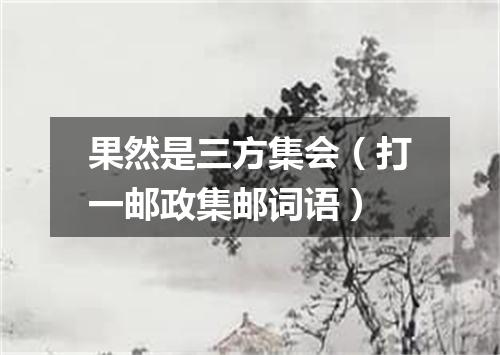 果然是三方集会（打一邮政集邮词语）