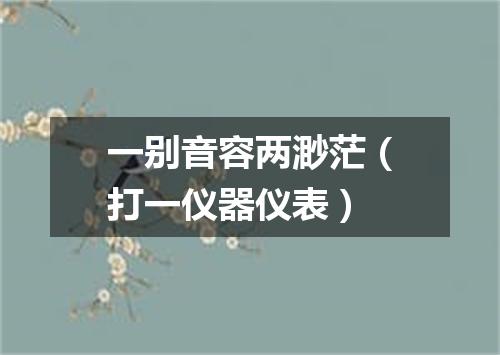 一别音容两渺茫（打一仪器仪表）