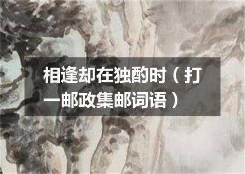 相逢却在独酌时（打一邮政集邮词语）