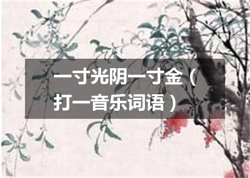 一寸光阴一寸金（打一音乐词语）