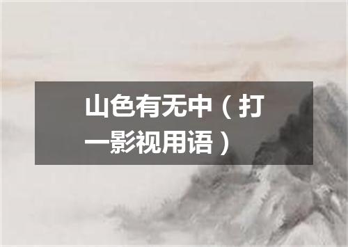 山色有无中（打一影视用语）