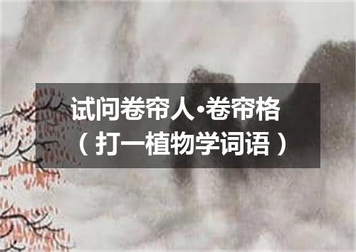 试问卷帘人·卷帘格（打一植物学词语）
