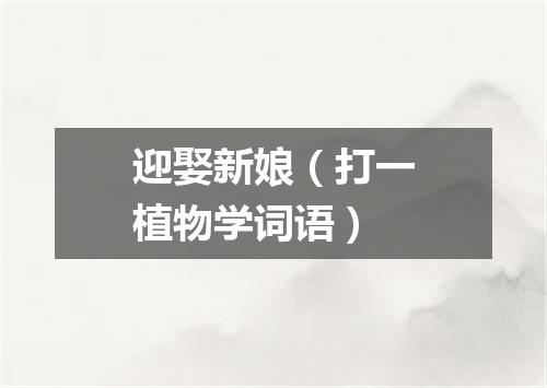 迎娶新娘（打一植物学词语）