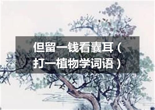 但留一钱看囊耳（打一植物学词语）