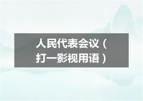 人民代表会议（打一影视用语）