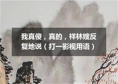 我真傻，真的，祥林嫂反复地说（打一影视用语）