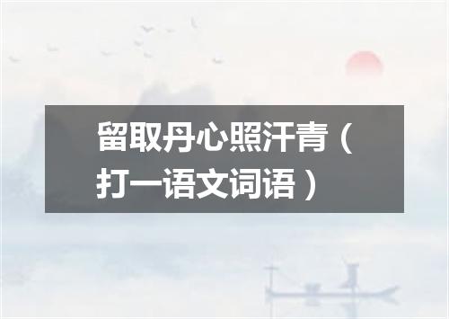 留取丹心照汗青（打一语文词语）
