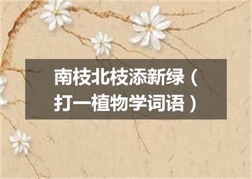 南枝北枝添新绿（打一植物学词语）