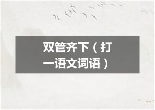 双管齐下（打一语文词语）