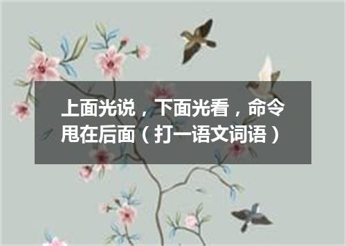 上面光说，下面光看，命令甩在后面（打一语文词语）