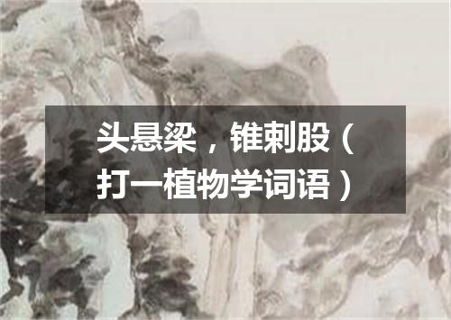 头悬梁，锥剌股（打一植物学词语）