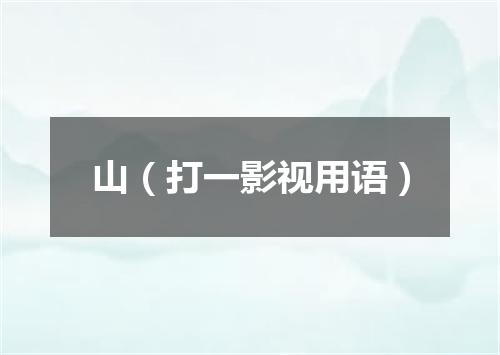 山（打一影视用语）
