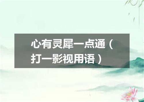 心有灵犀一点通（打一影视用语）