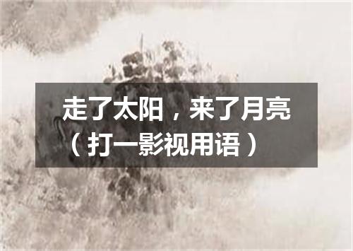 走了太阳，来了月亮（打一影视用语）