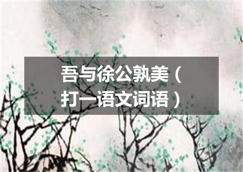 吾与徐公孰美（打一语文词语）