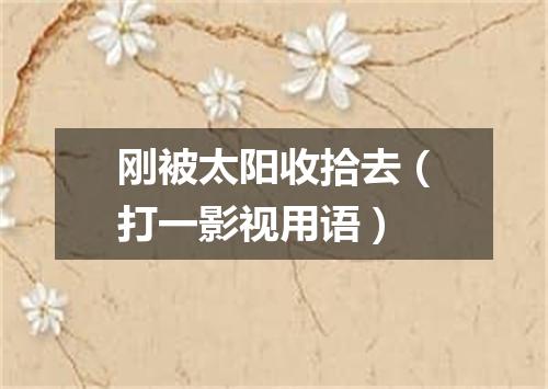 刚被太阳收拾去（打一影视用语）