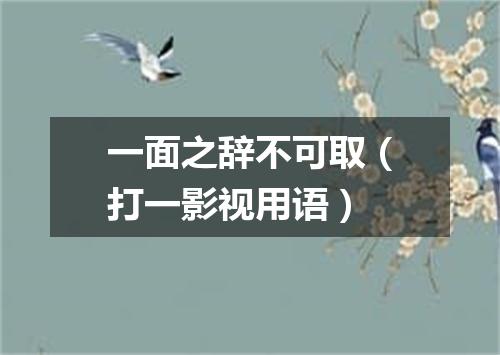 一面之辞不可取（打一影视用语）