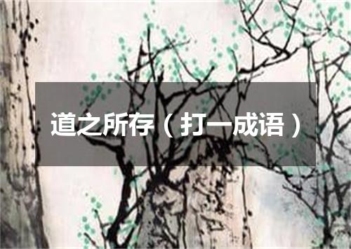 道之所存（打一成语）
