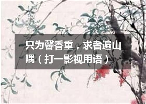 只为馨香重，求者遍山隅（打一影视用语）