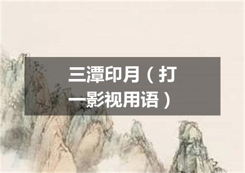三潭印月（打一影视用语）
