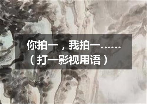 你拍一，我拍一……（打一影视用语）
