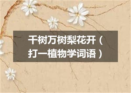 千树万树梨花开（打一植物学词语）