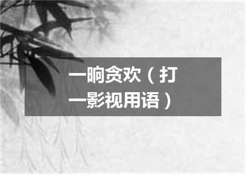 一晌贪欢（打一影视用语）