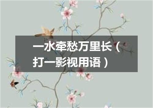 一水牵愁万里长（打一影视用语）