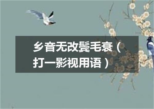 乡音无改鬓毛衰（打一影视用语）