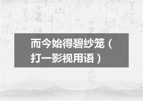 而今始得碧纱笼（打一影视用语）